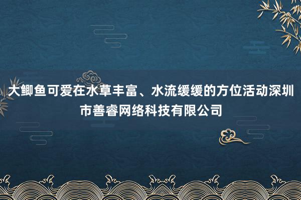 大鲫鱼可爱在水草丰富、水流缓缓的方位活动深圳市善睿网络科技有限公司